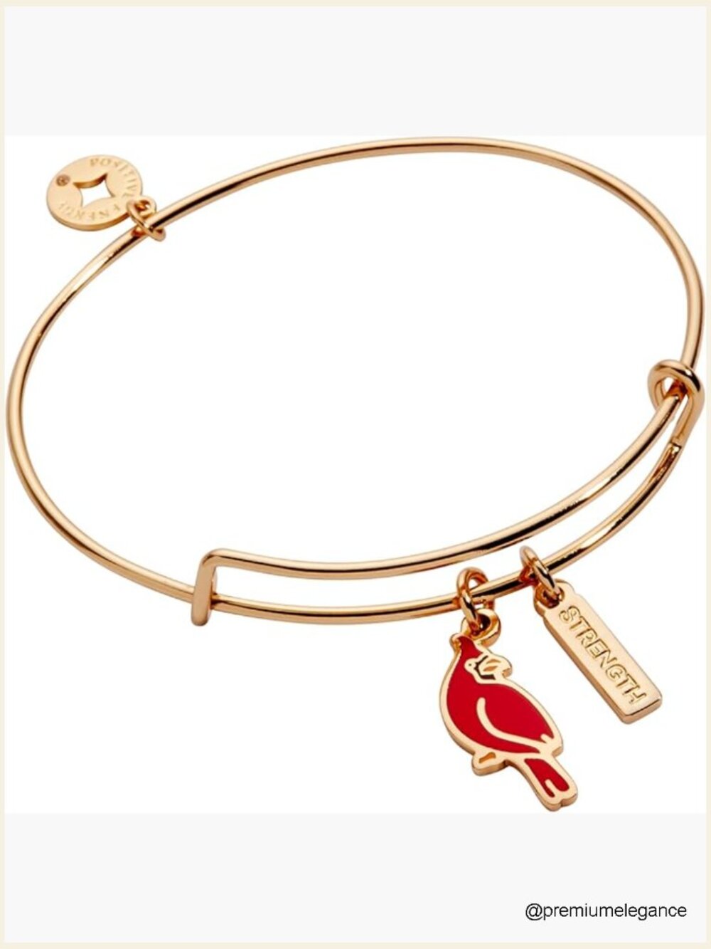 Adjustable Wire Bangle Bracelet with Cardinal Charm